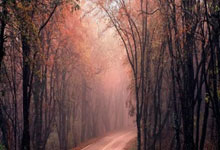 ac米兰-拉斯卡市客场大胜，连续取得两连胜的简单介绍