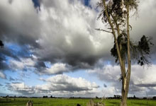 ac米兰-拉斯卡市客场大胜,连续取得两连胜的简单介绍