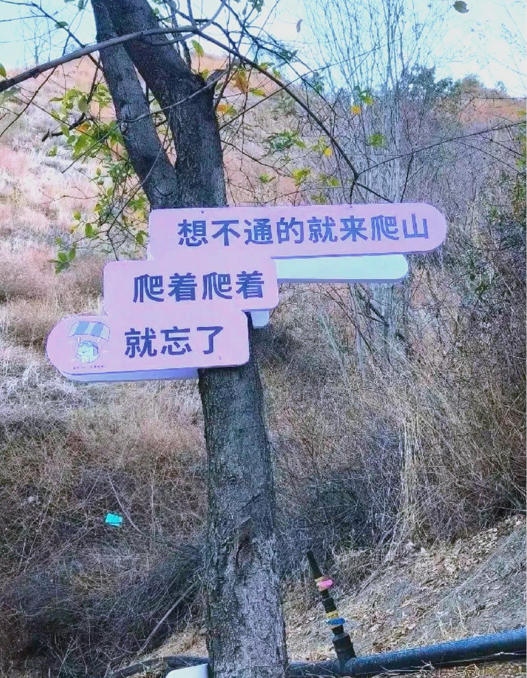 米兰体育app-国内劲旅挑战亚洲豪强，誓以胜利为归宿的简单介绍