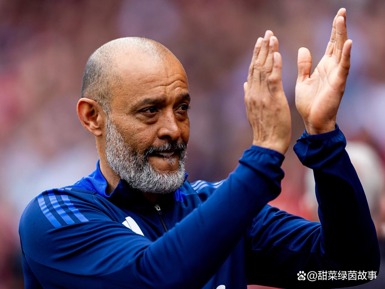 里昂队赢球在望,竞争力逐渐增强的简单介绍 里昂队赢球在望,竞争力逐渐增强的简单介绍